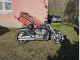 HARLEY-DAVIDSON V-ROD Muscle