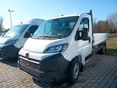 OPEL MOVANO 2025/5 - 1