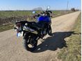 SUZUKI DL 1000 2007/5 - 4