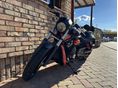 HARLEY-DAVIDSON NIGHT ROD SPECIAL 2008 - 5