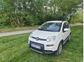 FIAT PANDA 2016/8 - 3