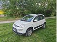 FIAT PANDA 2016/8 - 11