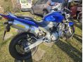 HONDA CB 600 F (HORNET) 2003 - 7