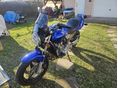HONDA CB 600 F (HORNET) 2003 - 10