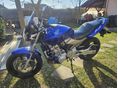 HONDA CB 600 F (HORNET) 2003 - 11