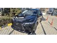 LEXUS NX 2026 - 2