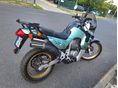 HONDA XL 600 V 1992 - 2