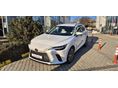 LEXUS RX 2025 - 2