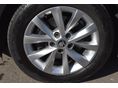SKODA OCTAVIA 2017/12 - 6