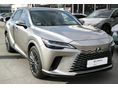 LEXUS RX 2024/12 - 1