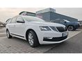 SKODA OCTAVIA 2019/10 - 2