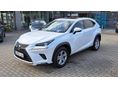 LEXUS NX 2020/12 - 1