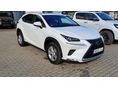LEXUS NX 2020/12 - 2