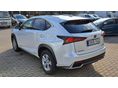 LEXUS NX 2020/12 - 5