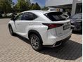 LEXUS NX 2020/12 - 5
