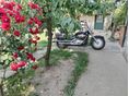 SUZUKI VL 800 (INTRUDER) 