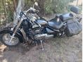 SUZUKI VL 800 (INTRUDER) 