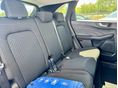 FORD KUGA 2026 - 12