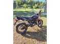 GENERIC TRIGGER SM 50 2017/7 - 8