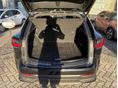 LEXUS NX 2023/6 - 11