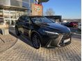 LEXUS NX 2023/6 - 1