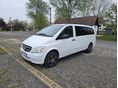 MERCEDES-BENZ VITO 113 CDI L 4x4 (Automata)