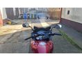 HONDA CBF 600 2005/10 - 4