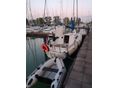 ALBIN MARINE 1975 - 2