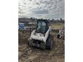 BOBCAT 2008/8 - 5