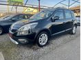 RENAULT SCENIC 2013/8 - 3