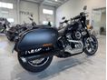 HARLEY-DAVIDSON SOFTAIL 2023/5 - 3