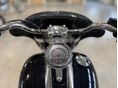 HARLEY-DAVIDSON SOFTAIL 2023/5 - 4