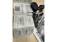 HARLEY-DAVIDSON SOFTAIL 2023/5 - 7