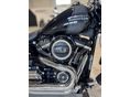 HARLEY-DAVIDSON SOFTAIL 2023/5 - 8