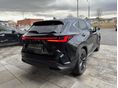 LEXUS NX 2025/9 - 4