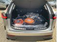 LEXUS NX 2025/11 - 7