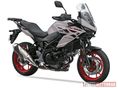 SUZUKI SV-7GX 2026 - 2