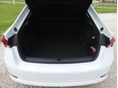 SKODA OCTAVIA 2021/4 - 11