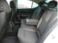 SKODA OCTAVIA 2024/5 - 6