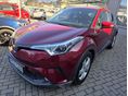 TOYOTA C-HR 2019/9 - 3