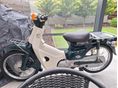 HONDA C 50 1998/10 - 2