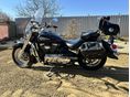 SUZUKI VL 800 (INTRUDER) Volusia