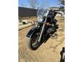 SUZUKI VL 800 (INTRUDER) 2004/11 - 5