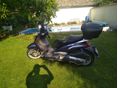 PIAGGIO BEVERLY 500 2003/4 - 6