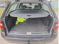 MERCEDES-BENZ E 250 2010/11 - 8