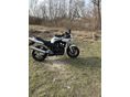 YAMAHA FZS 600 (FAZER) 