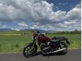 TRIUMPH SPEED TWIN 2024/3 - 4