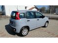 FIAT PANDA 2018/9 - 5