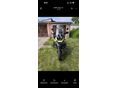 BMW R 1100 GS 1997/6 - 3