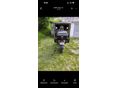 BMW R 1100 GS 1997/6 - 4